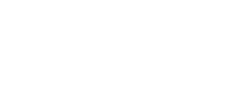 Arbor Insurance Group - Logo 800 White
